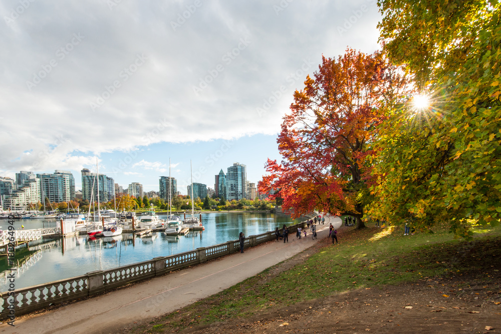 Naklejka premium Kolory jesieni na ścianie morza na Stanley Park Vancouver w Kanadzie