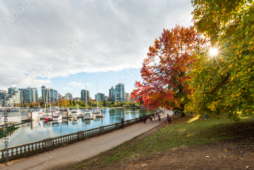 Autumn colours on the sea wall on stanley park vancouver canada