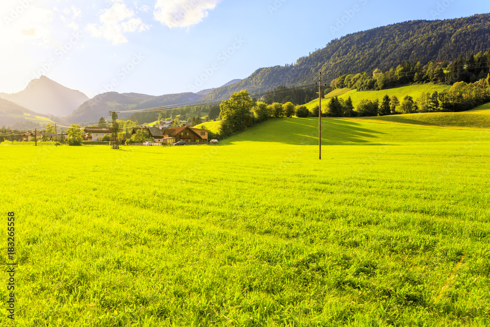 Green grass field in Austrian Alps