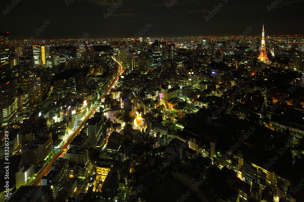 Fototapeta premium Night view in Tokyo
