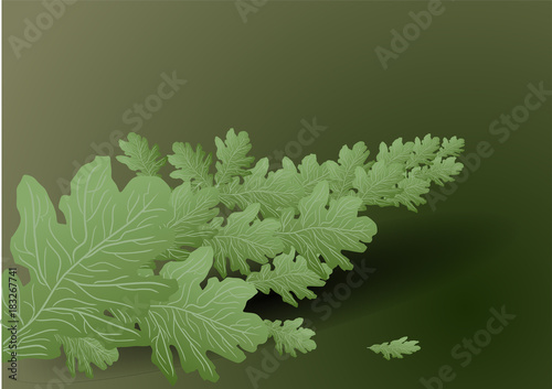 background with branch