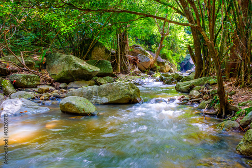 Water fall scenery wildlife at Nam Tok Kao Jones, Suan Phueng, Ratchaburi, Thailand