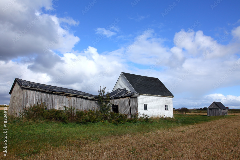 Fototapeta premium October in Price Edward Island