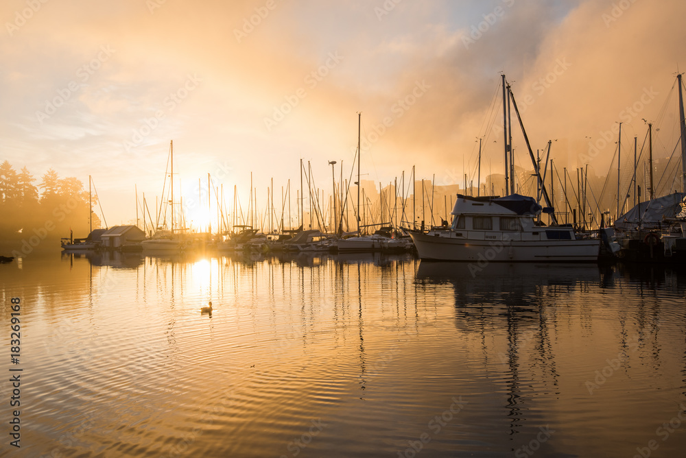 Coal Harbour Sunrise on Golden hour in Vancouver Canada Coal Harbour Sunrise on Golden hour in Vancouver Canada