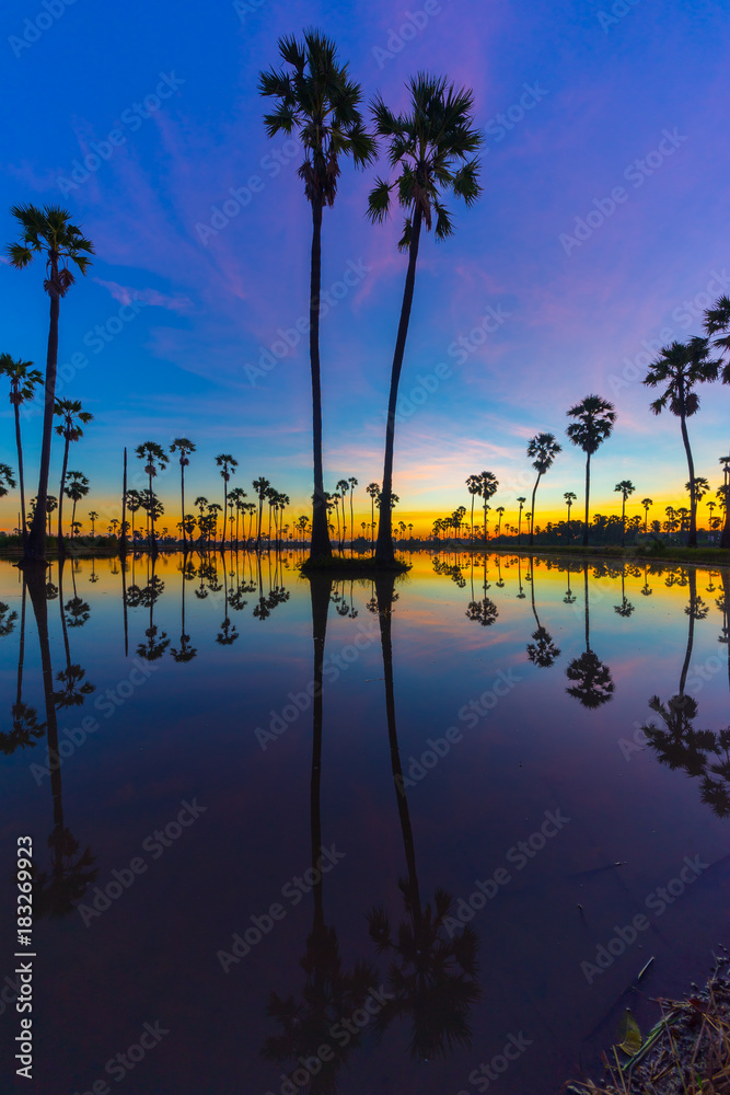 Fototapeta premium Silhouette of Twin Sugar Palm Tree on Blue and Pink Sky at Twilight Time. Reflection on the water.