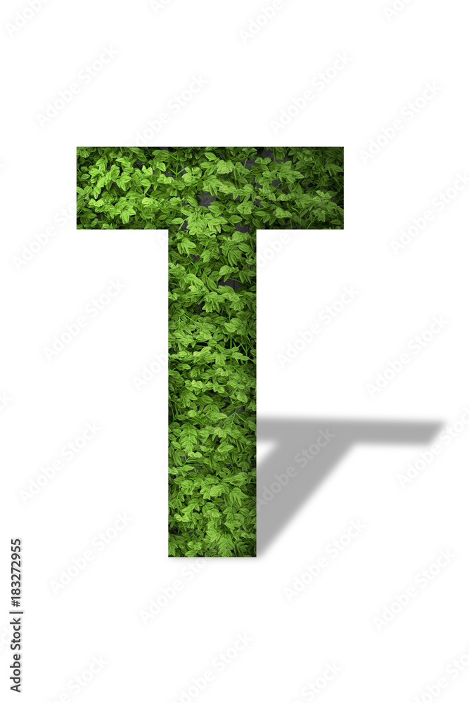 Letter as a Green leave wall. Font For Your Design. 3d rendering of vertical garden alphabet. Isolated On White Background. clipping path included Letter as a Green leave wall. Font For Your Design. 3d rendering of vertical garden alphabet. Isolated On White Background. clipping path included