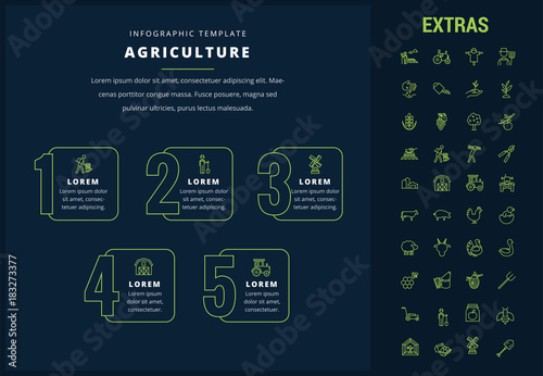Agriculture options infographic template, elements and icons. Infograph includes options, line icon set with agriculture food, farm animal, agricultural business, farming tools, organic fruit etc.