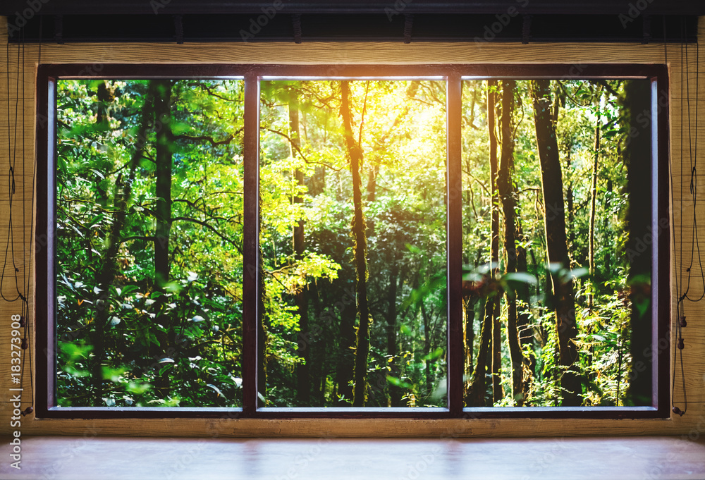 Naklejka premium Patrząc przez okno, lasy tropikalne w widoku wschodu słońca