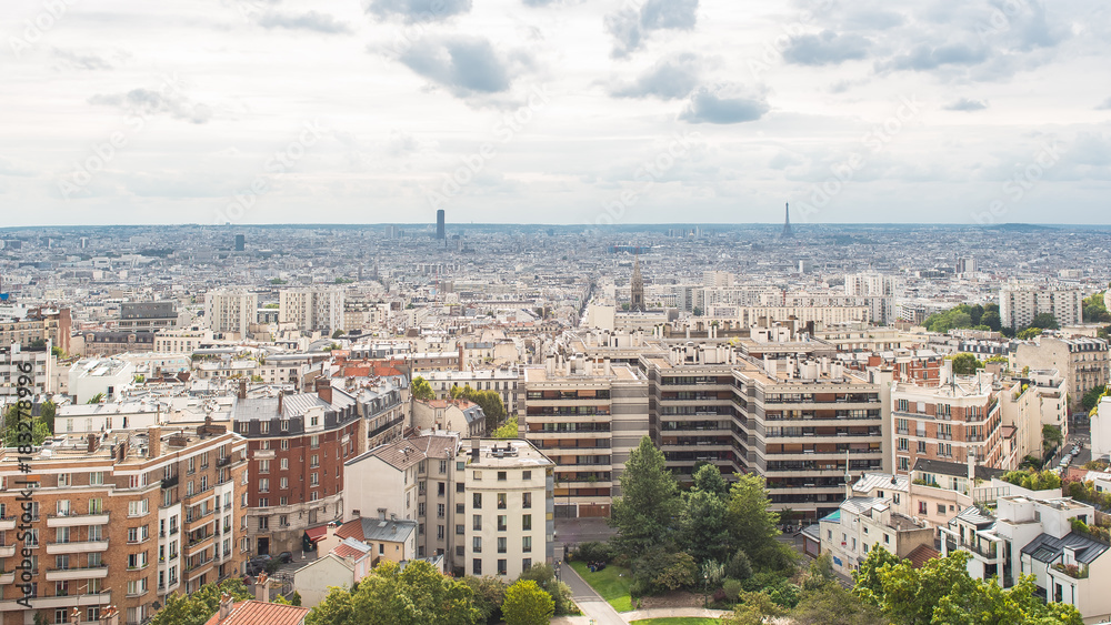 Paris, panorama of the city and the famous monuments, view of Eiffel tower and the Montparnasse tower in background 
