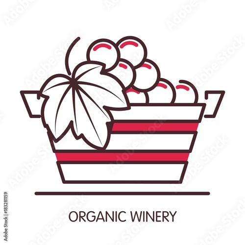 Organic winery promotional poster with basket full of grapes