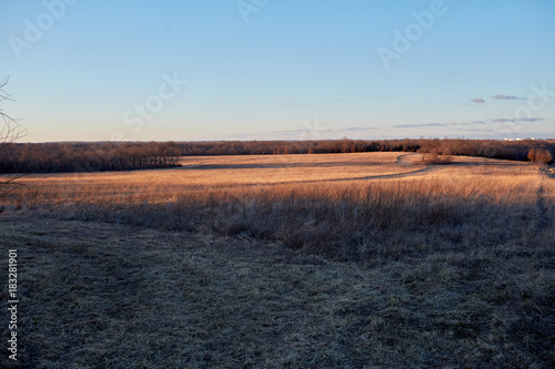 Tranquil natural outdoor farmland environment