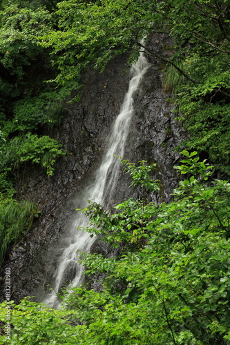 Late August in Shiga-kogen Highland  Nagano  Japan