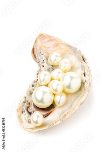 Multiple pearls in oyster sea shell