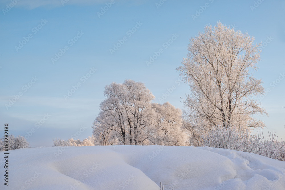 Snowy frozen landscape of sunrise on lakeside with trees
Snowy frozen landscape of sunrise on lakeside with trees