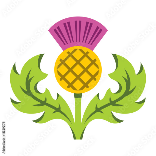 Thistle. Vector Flat style colorful Cartoon illustration.