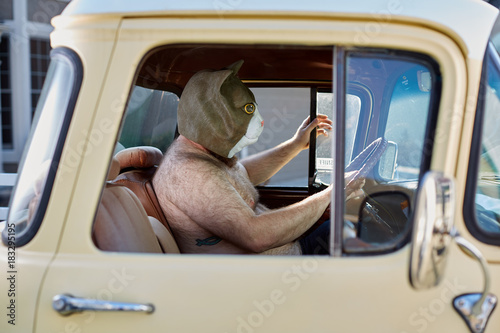 Man wearing a weird cat mask while driving photo