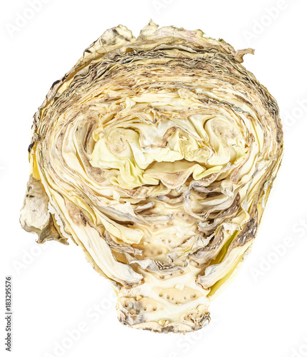 Half of rotten cabbage isolated