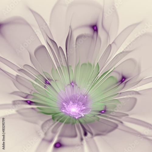 Abstract fractal flower computer generated image