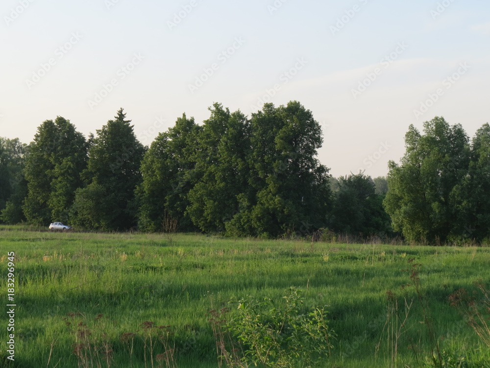 Outskirts of a village. The green field. The Month Of May. (The Vast Russia! Sergey, Bryansk.)