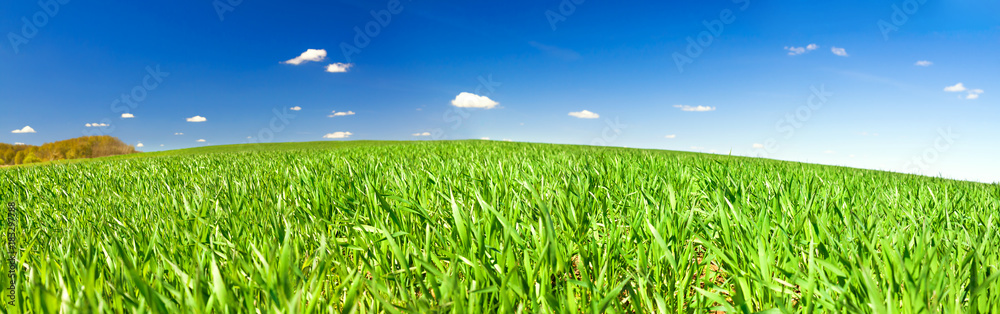 spring rural landscape with field and blue sky, a panorama spring rural landscape with field and blue sky, a panorama