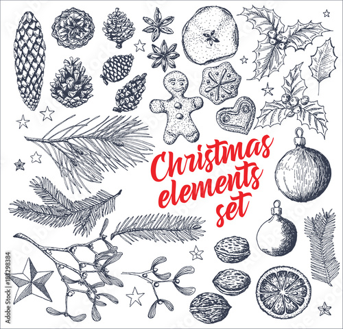 Vintage vector handdrawn Christmas card elements