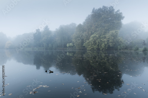 Foggy lake and deciduous forest,  Rombergpark, Dortmund, North Rhine-Westphalia, Germany, Europe photo