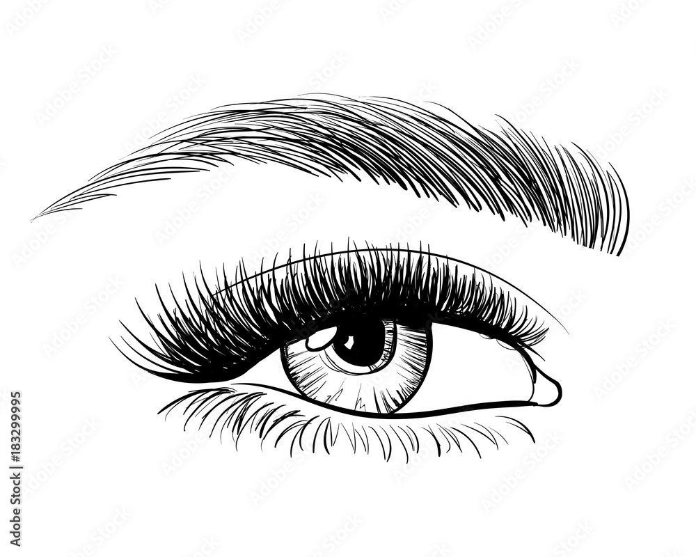 Hand-drawn beautiful female eye, sketch. Black and white beauty eye