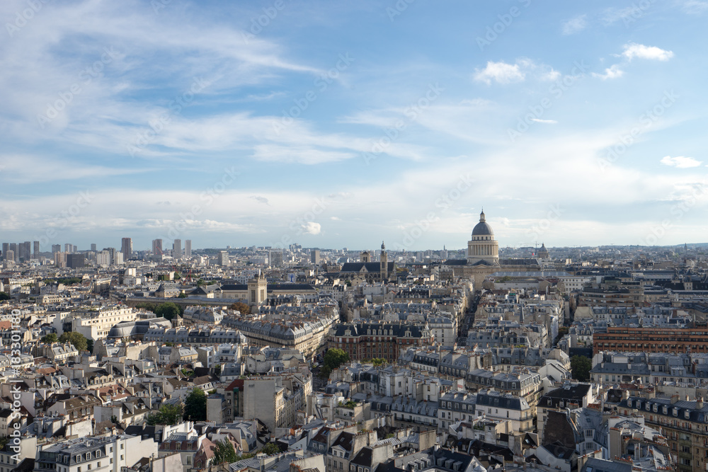 ノートルダム大聖堂から見るパリ市街の風景