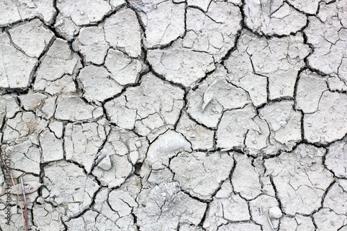 Dry, cracked earth. dry cracked soil texture and background on dry season (grayscale)