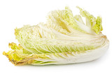 Rotten napa cabbage isolated