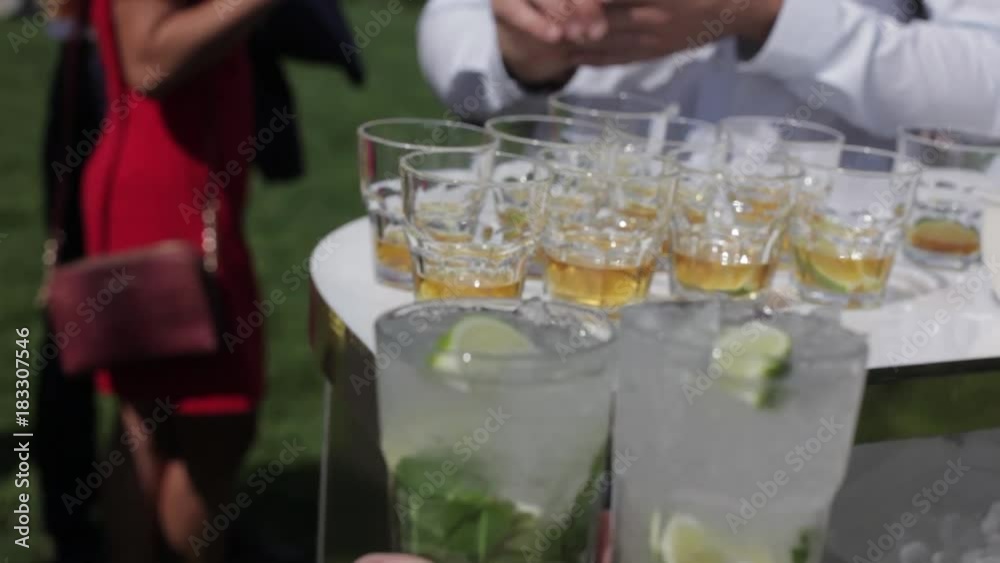 bartender prepares cocktails to guests with ice, lime and mint bartender prepares cocktails to guests with ice, lime and mint