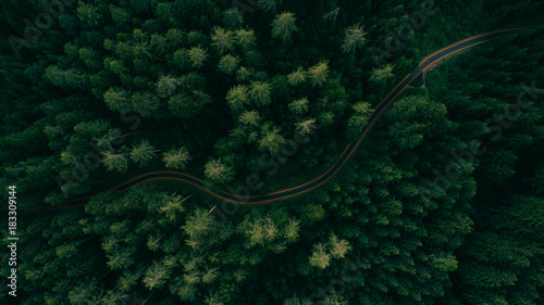 Aerial view of a road in the middle of the forest. Winding road in the middle of a pine tree forest
