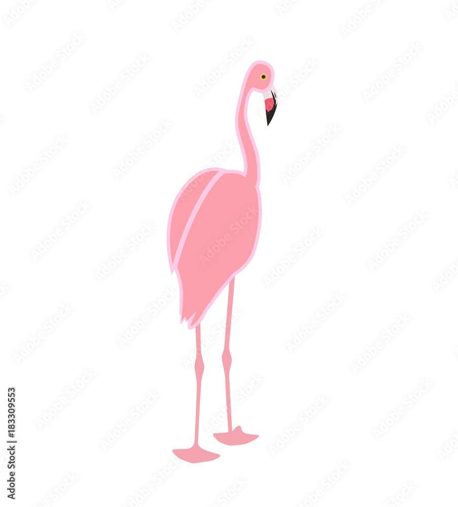 Fototapeta premium Colorful pink flamingo isolated on white background. Vector Illustration.