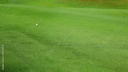 Golf Ball Rolling on the Green Grass