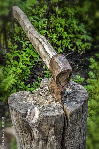The ax stuck in a tree stump in the backyard close-up