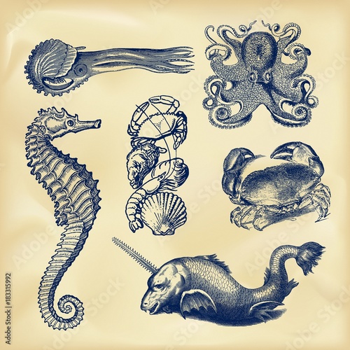 Vintage nautical collection