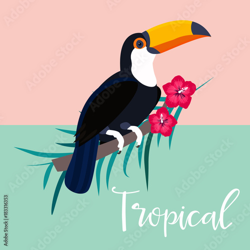 Image of bright tropical toucan and palm branch
