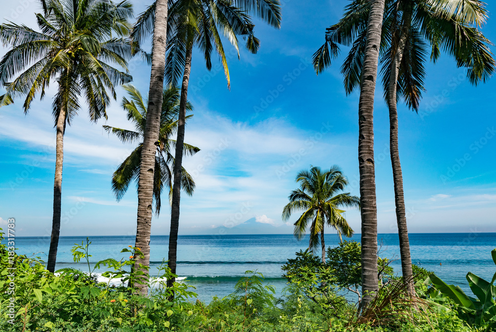 view of balinese volcano with palms and beach in lombok. indonesia