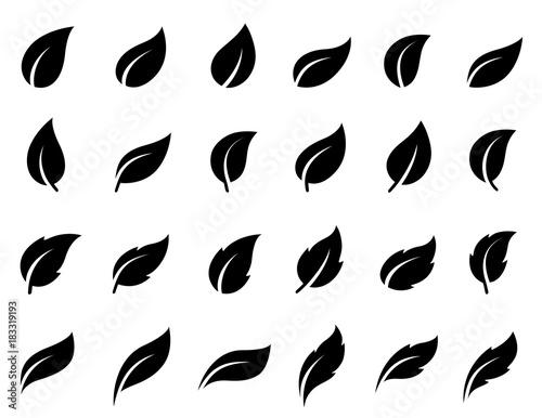 set of isolated leaves icons
