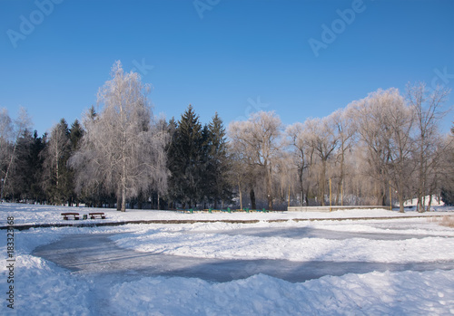 Scenic view of the winter park