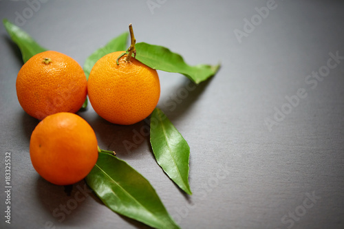 Tangerines with leaves on the slate background