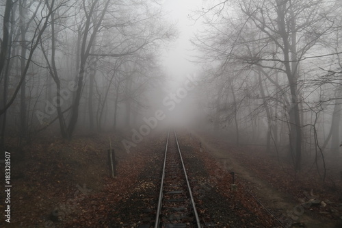 Tracks in the fog