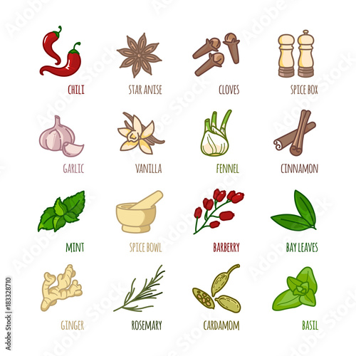 Spices and seasonings outline web icons set photo