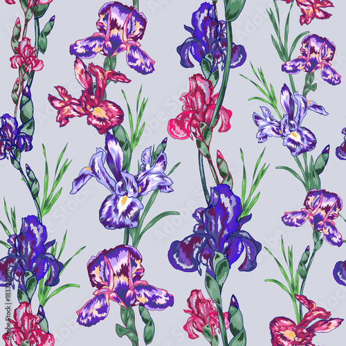 Fototapeta Naklejka Na Ścianę i Meble -  Purple Iris Vector Design