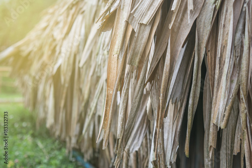 close up of old eaves hut made from leaves palm tree