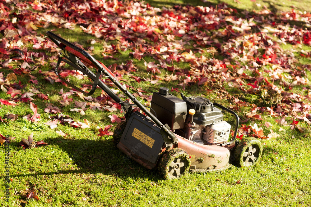 Fototapeta premium lawn mower grass service gardener in city park