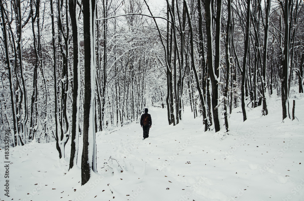 man walking on snowy forest path in winter man walking on snowy forest path in winter