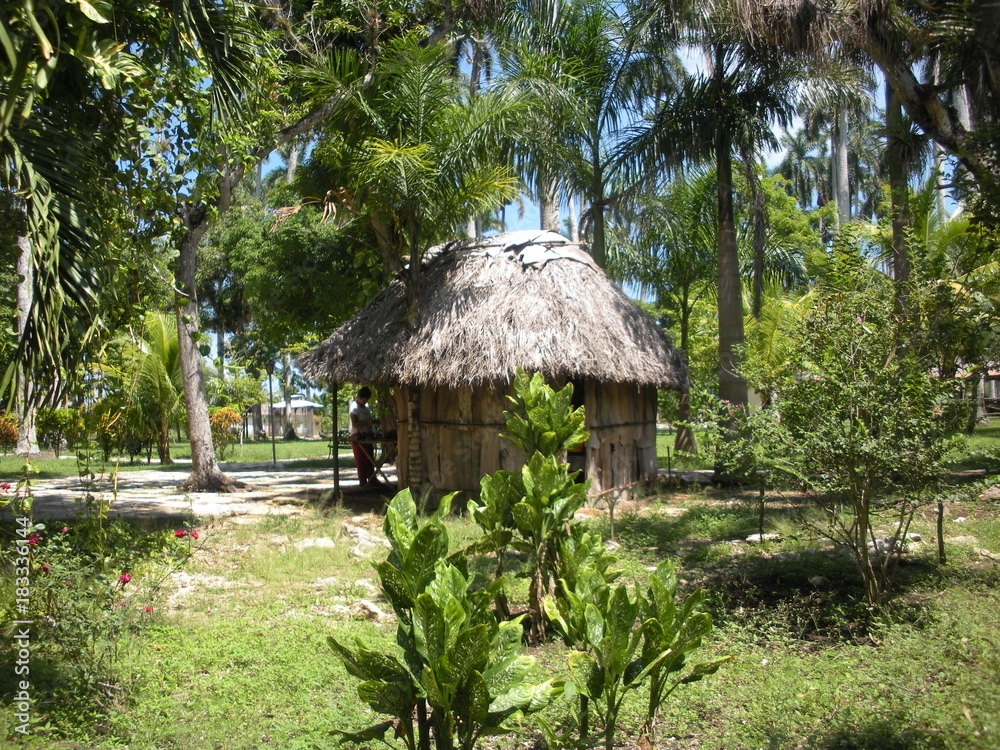 Countryside of Cuba Caribbean Tropical Landscape and Blue Sky