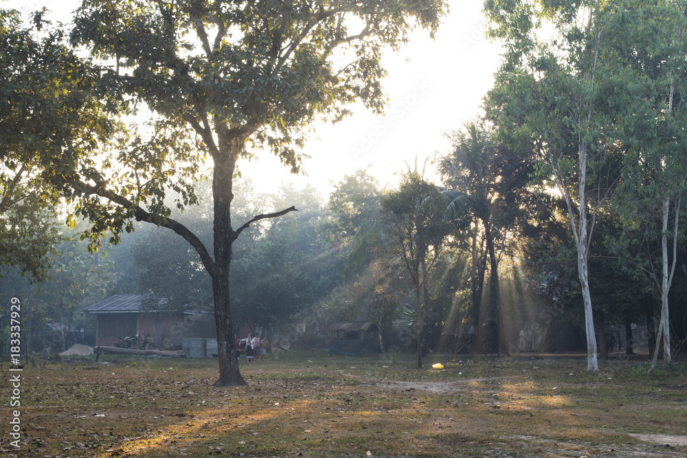 Winter with morning sun shade through tree Winter with morning sun shade through tree