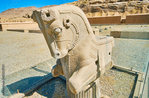Half-horse protome in Persepolis, Iran photo